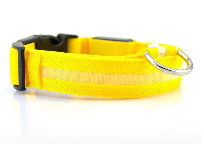 LED Dog Collar - Rechargeable Light Up Safety Collar for Night Walking - Waterproof