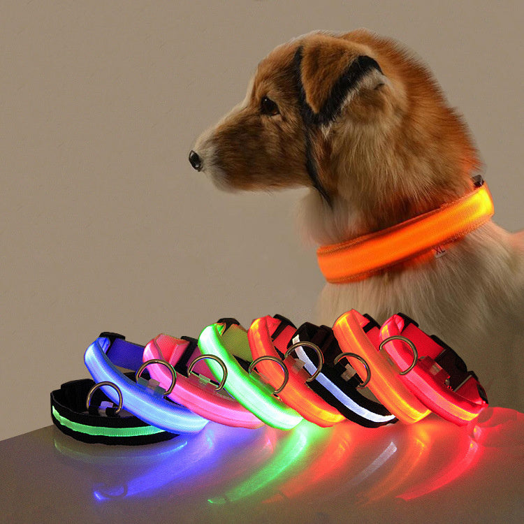 LED Dog Collar - Rechargeable Light Up Safety Collar for Night Walking - Waterproof