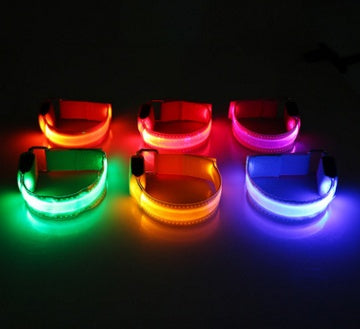 LED Dog Collar - Rechargeable Light Up Safety Collar for Night Walking - Waterproof