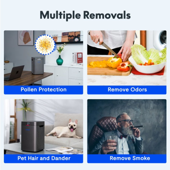 HEPA Air Purifier for Large Rooms - H13 True HEPA Filter Removes 99.97% Allergens, Pet Dander, Dust - 210 Sq Ft Coverage, Ultra Quiet 34W - Perfect for Bedroom, Office, Living Room